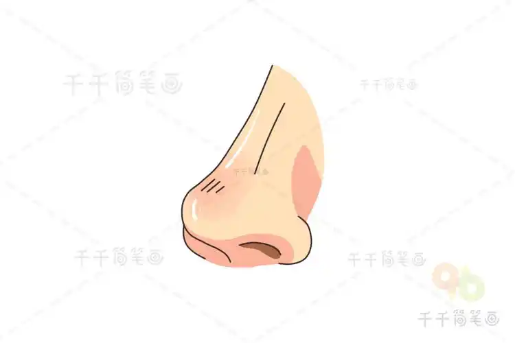 第六步:最后涂上颜色,简单的鼻子简笔画就画好了!