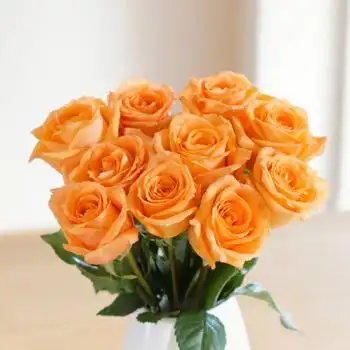 云南昆明基地直发玫瑰花 鲜花批发直批一扎20支家用插花直供 假日公主