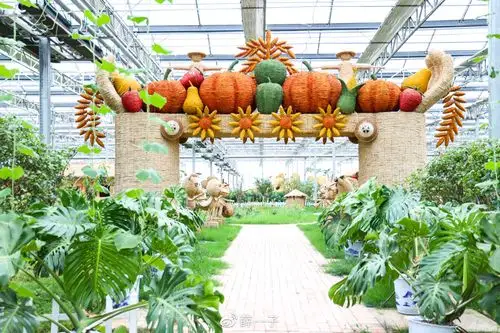 盐城亲子游好去处|奇幻的"现代农业休闲观光"