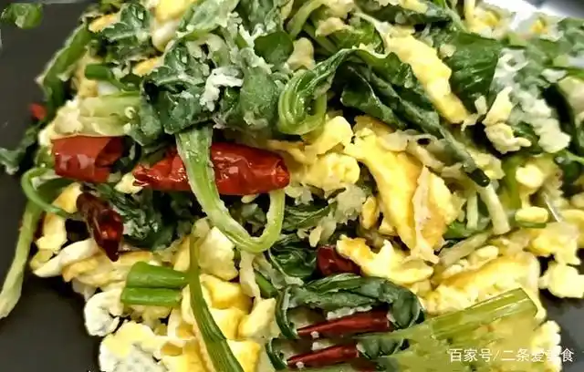 春天,教你车前草新吃法,简单一炒,鲜嫩入味,一顿一盘不够吃