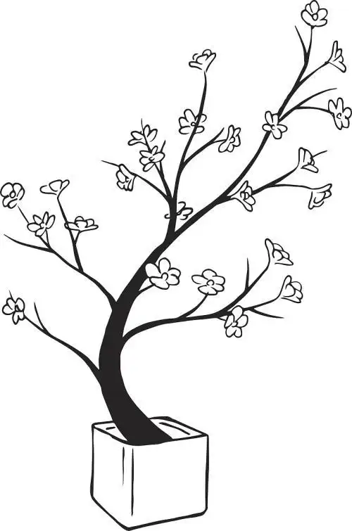 樱花树飘落的简笔画