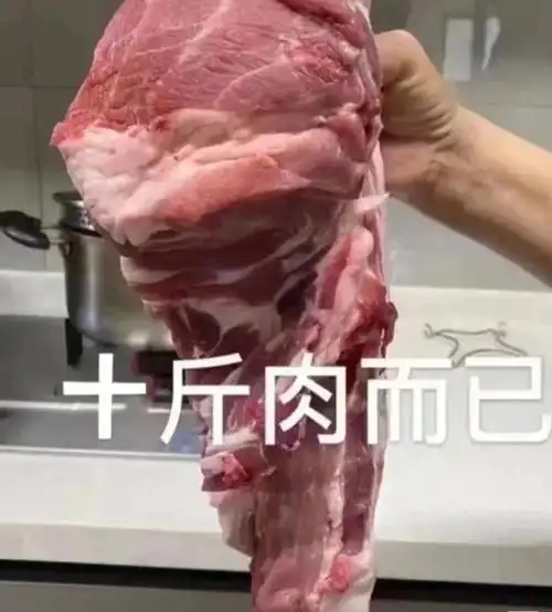 和脂肪死磕到底好难啊