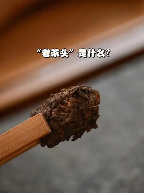什么是普洱茶的"老茶头"?是怎么形成的?