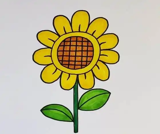 简笔画向日葵简笔画向日葵彩色