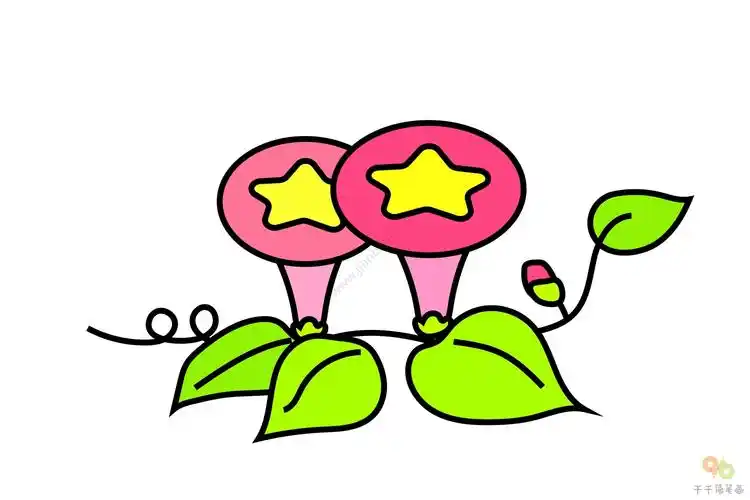 轻松学会牵牛花简笔画