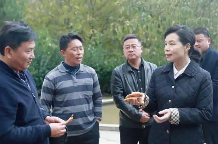 李芳到岳坝镇调研检查扶贫产业发展工作