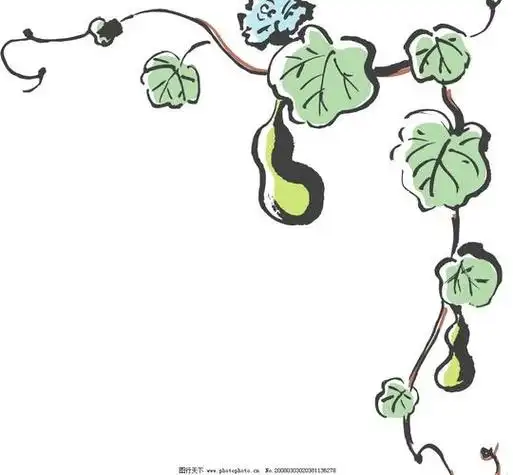 关于画葫芦藤的简笔画 简笔画图片大全-普车都