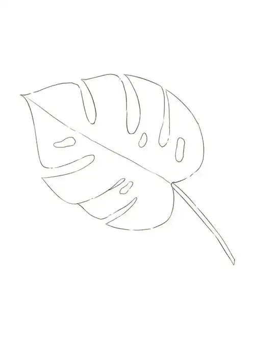 龟背竹(带线稿)