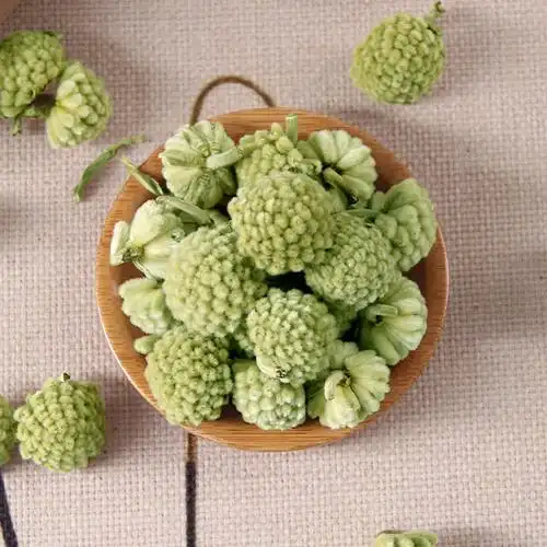 西藏绿萝花到底是什么( 西藏绿萝花到底是什么样的 )