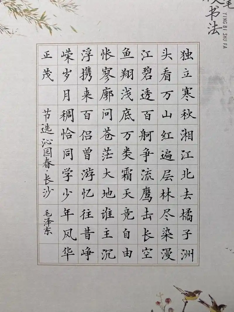 《沁园春长沙》 时隔四个月,再写一次 自我感觉进步了点. 差距不大.