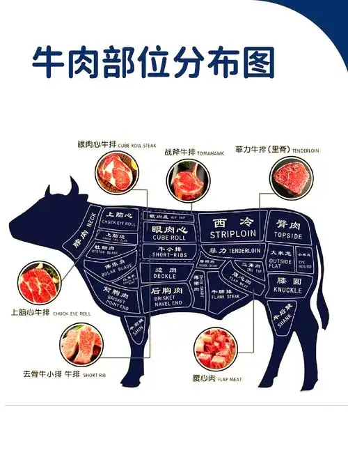 牛排部位详解:西冷,眼肉,上脑,菲力