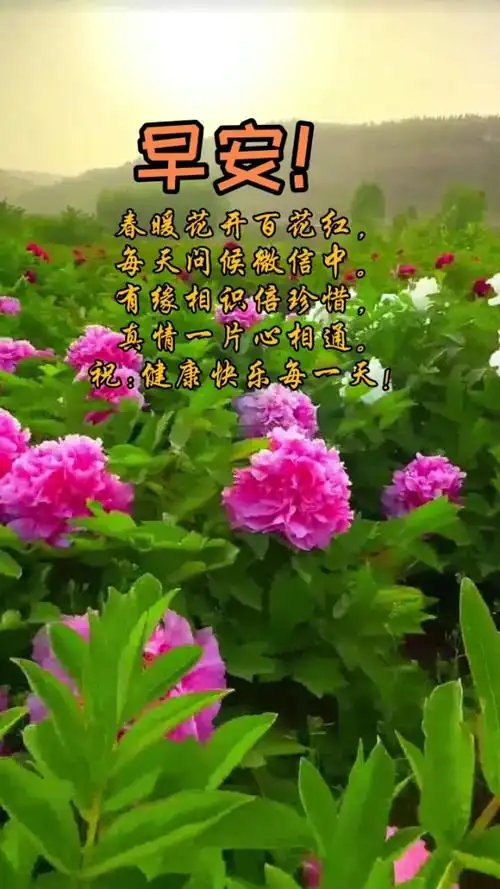 有缘相识倍珍惜