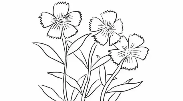 石竹花幼儿亲子简笔画 宝宝轻松学画画