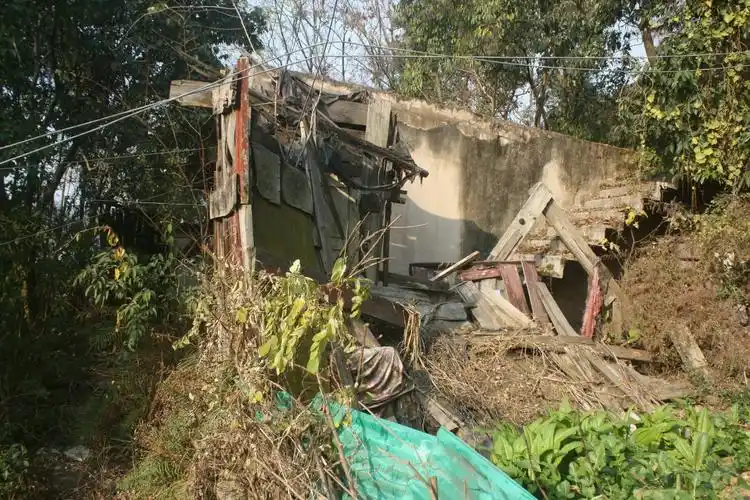 农村夫妻离婚后老房子10多年没人住杂草丛生破烂不堪可惜了