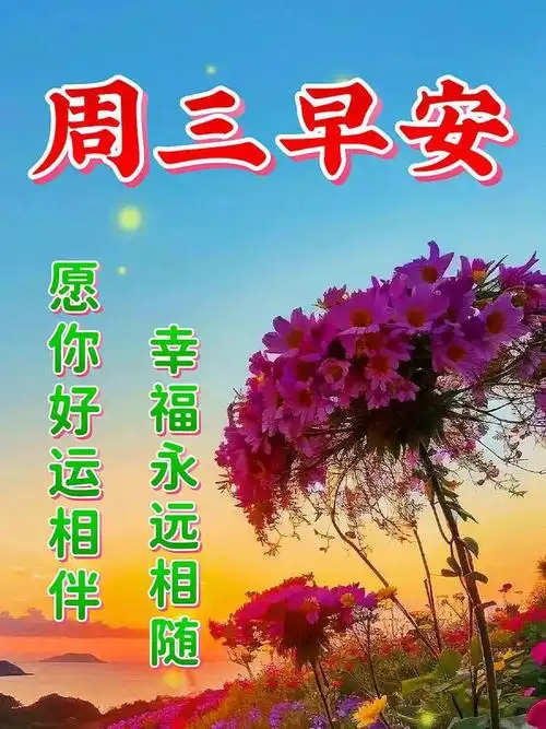 日星期三最新早安漂亮祝福图片|快乐|清晨|甜蜜|幸福|早上好_网易订阅