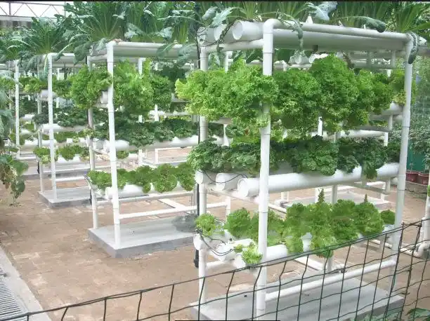 无土栽培设备定做 阳台种菜蔬菜 大棚水培管道 种植槽 水耕机花盆