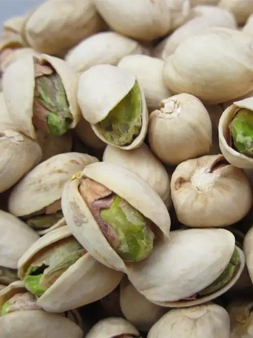 本色开心果新鲜原色原味盐焗孕妇干果包邮500g简罐袋散装坚果零食