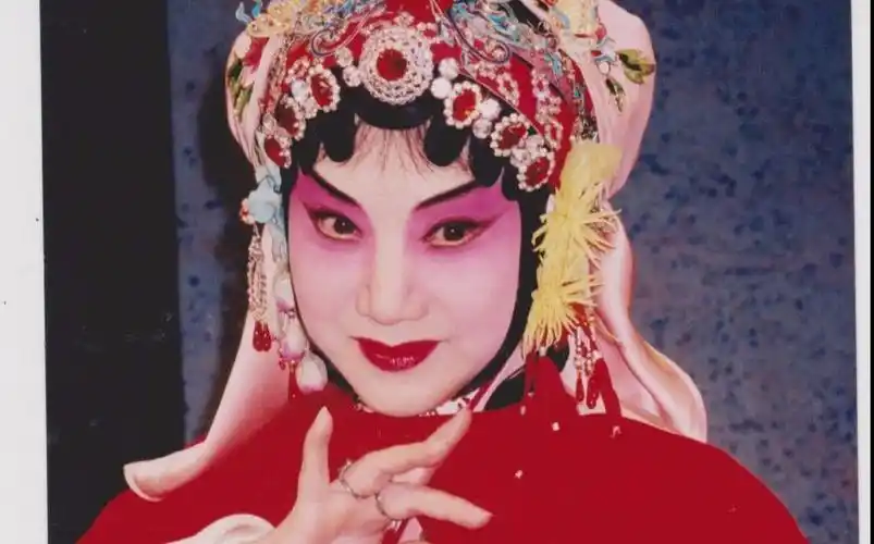 昆曲 蝴蝶梦·说亲回话 片段(华文漪)