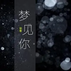 梦见你