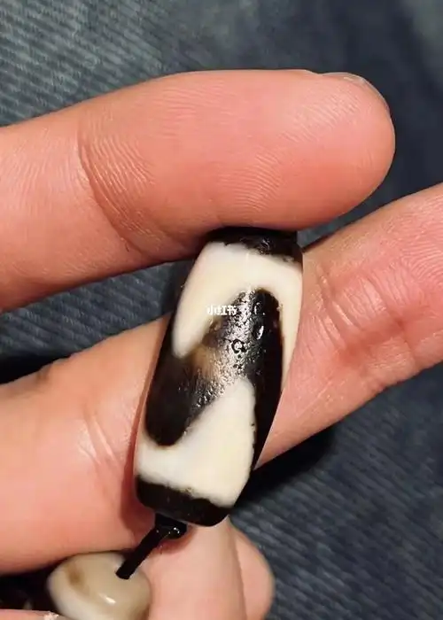 极品老措思虎牙天珠小五位