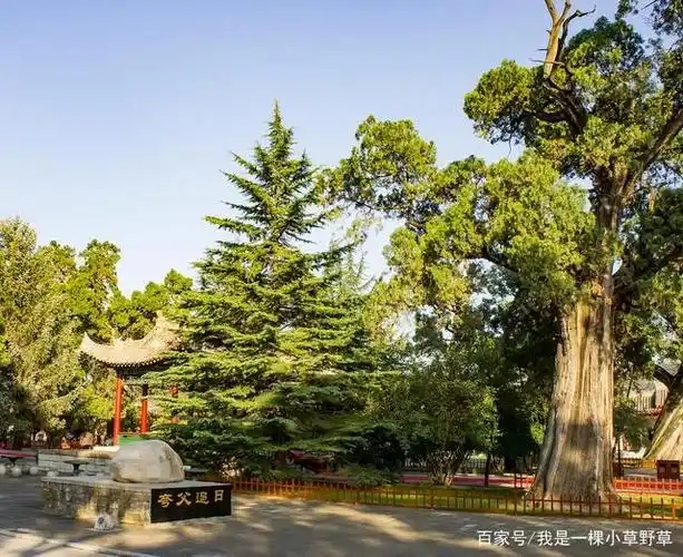 走四方---游陕西延安市黄陵县黄帝陵景区