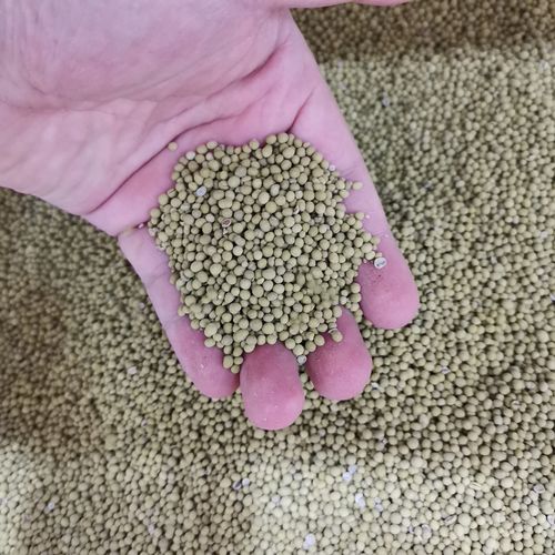 包衣紫花苜蓿草籽种兔粮食用大叶叶芽红花菜籽家庭园艺种子