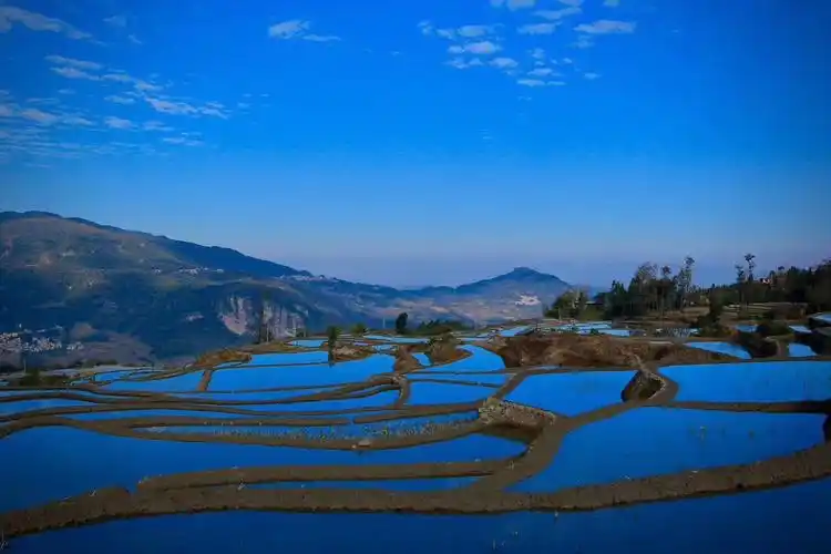 2023爱春蓝梯田游玩攻略,美好的生活就在前方.爱春蓝.【去哪儿攻略】