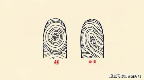 "五个簸箕五个螺,一生好命钱财多",你有几个簸箕?几个螺?
