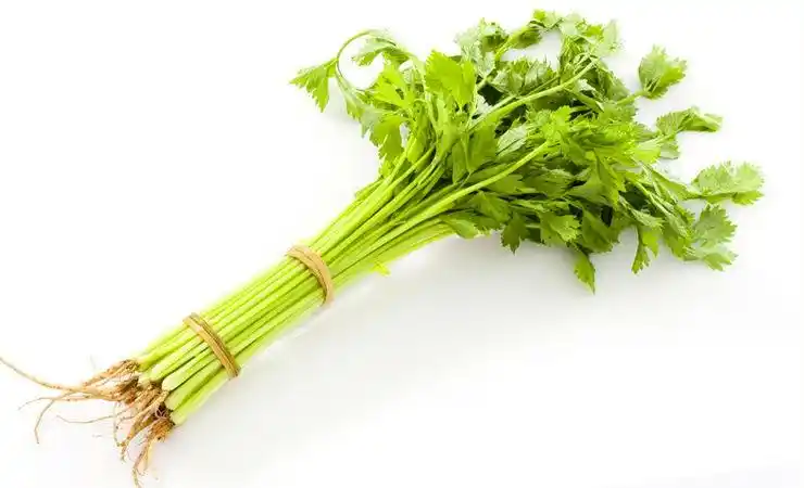 山芹