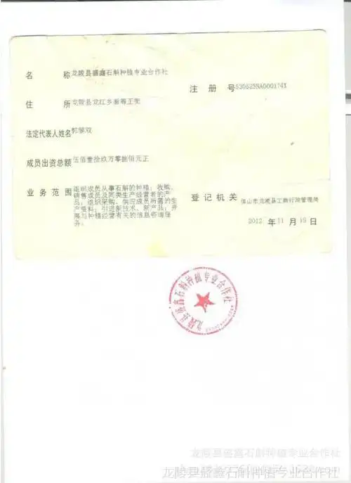 营业执照副本加盖公章