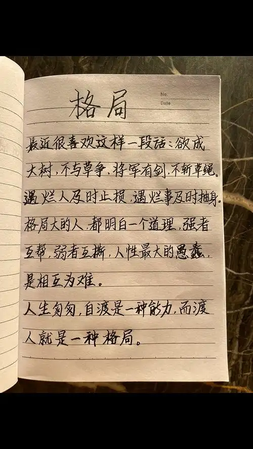 写字人生最大的格局就是渡