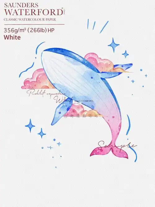 鲸鱼水彩丨少女心梦幻水彩原创插画