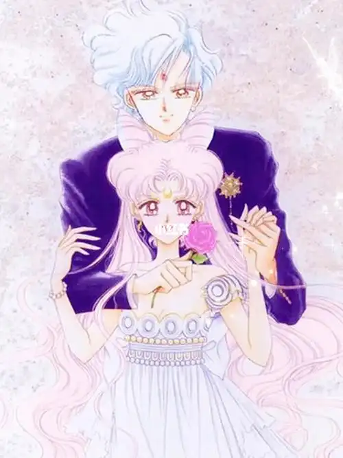 美少女战士小淑女的老公