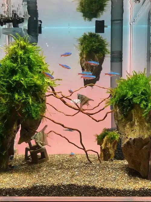 新造景天空之城翻缸大吉