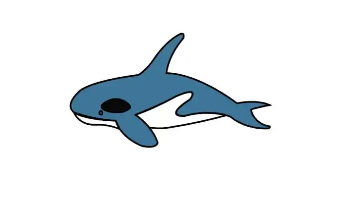 虎鲸简笔画虎鲸简笔画