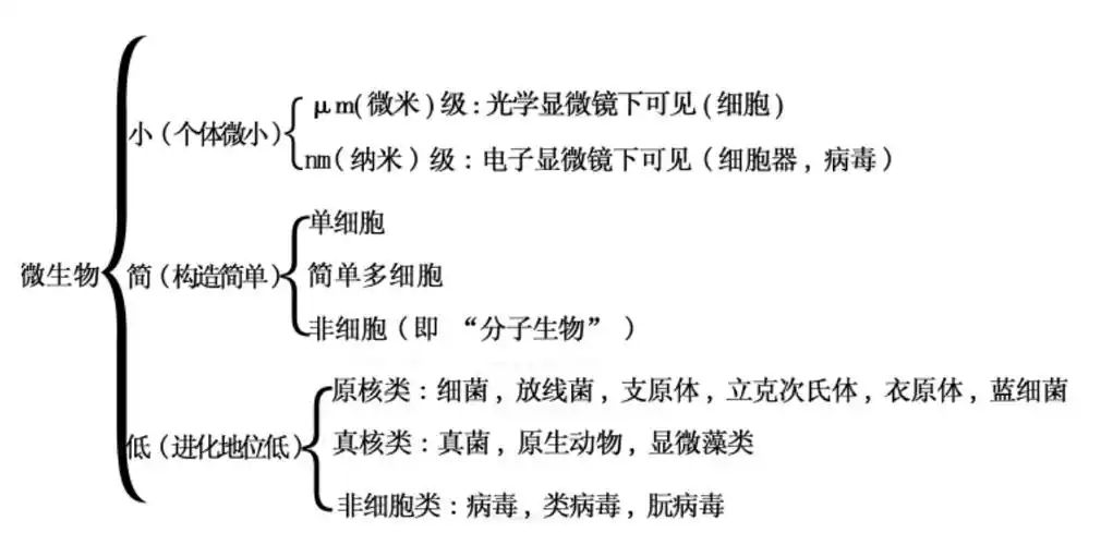 微生物家族生物世界面面观