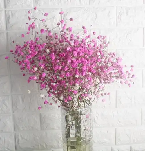山东满天星干花花束天然风干粉色永生花水晶草勿忘我客厅装饰真花