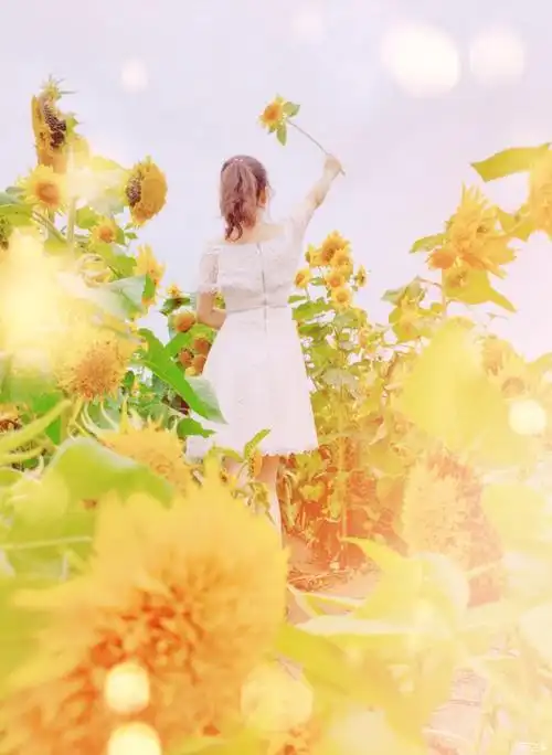 一心向阳来给生活比个耶