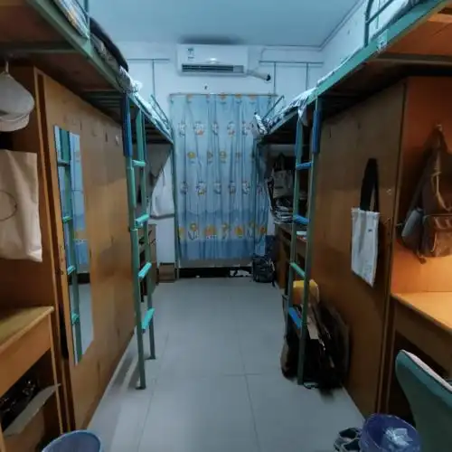 五育并举 | 物院学子文明宿舍创建纪实(四)