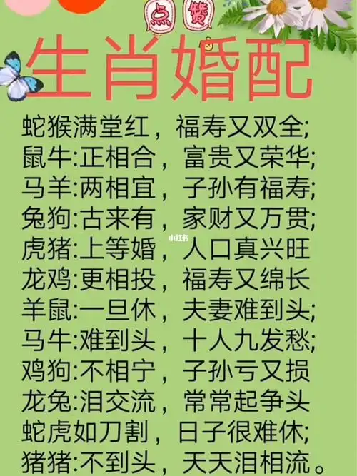 婚配生肖配对表 婚配生肖配对表蛇