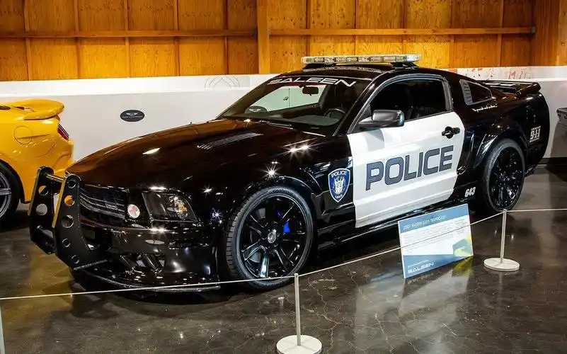 路障野马制作中