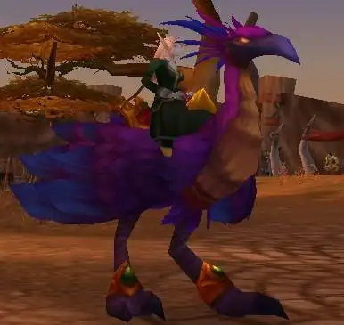 魔兽wow陆行鸟问题