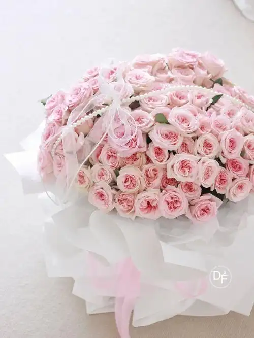 99朵粉荔枝玫瑰甜甜哒弥漫着香气