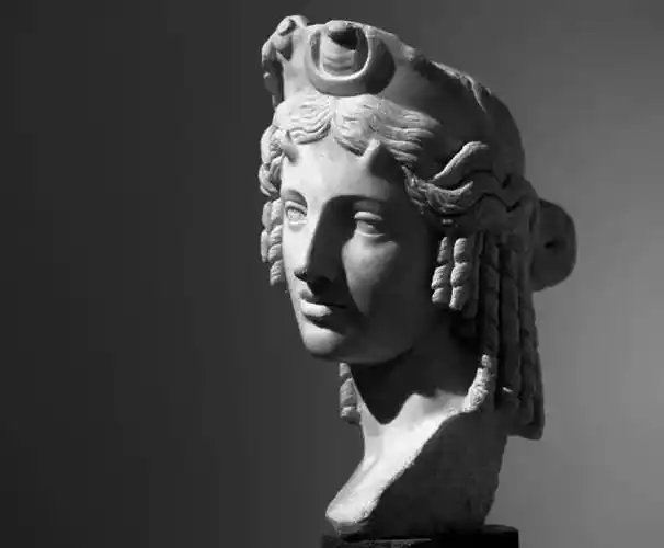 牛头鹿角金步摇群芳谱 局部群芳谱 局部群芳谱 局部群芳谱 局部群芳谱