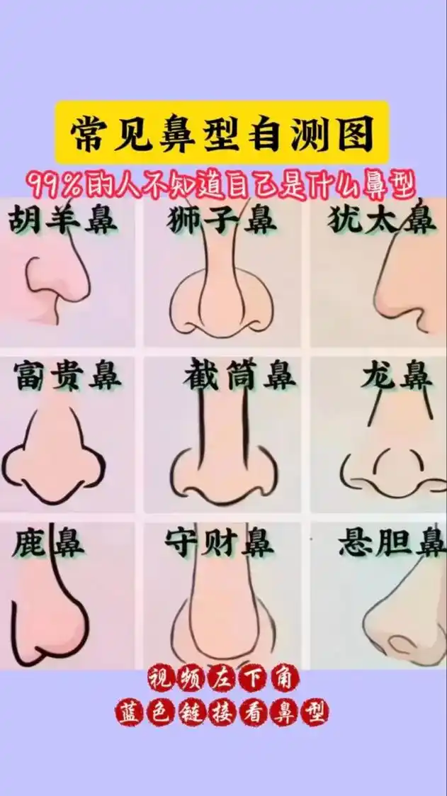 常见鼻型自测图,好奇看了下意外了…#鼻型测试 #测一测你是什 - 抖音