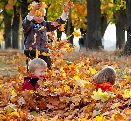 在树叶堆里玩耍的欧美小朋友高清待机图片下载-找素材