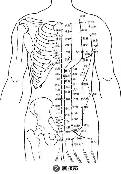 【引用】人体穴位图解