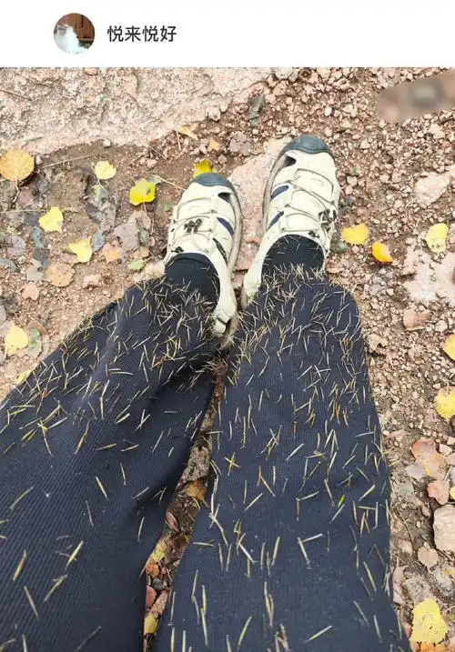 裤子上沾满草后如何快速去掉