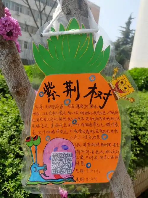 教师教育学院学前教育专业学生为校园树木制作标牌