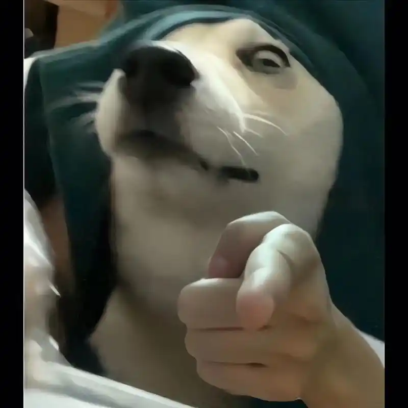 搞笑头像沙雕图片 - 抖音